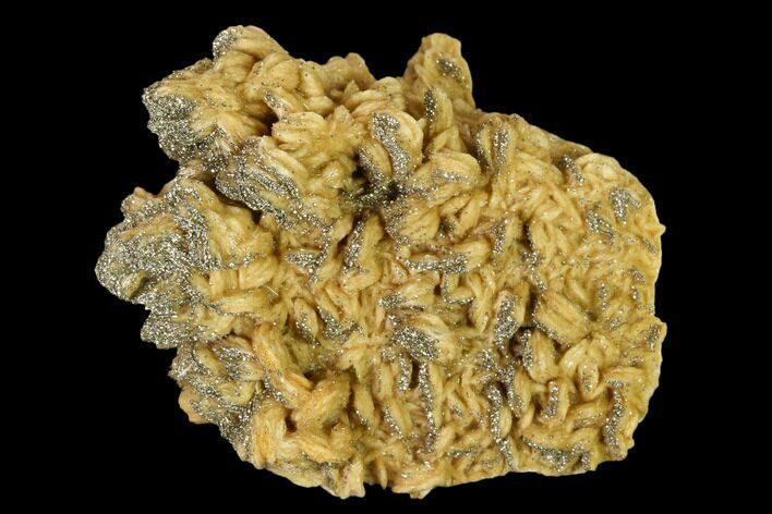 Pyrite Crystals on a Barite Crystal Cluster - Lubin Mine, Poland #148308